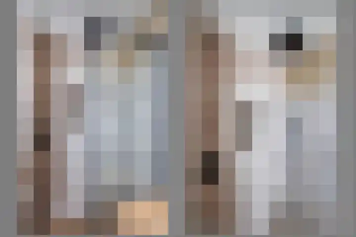 Wolfsbossingel 48 Beuningen Gld thumbnail 39