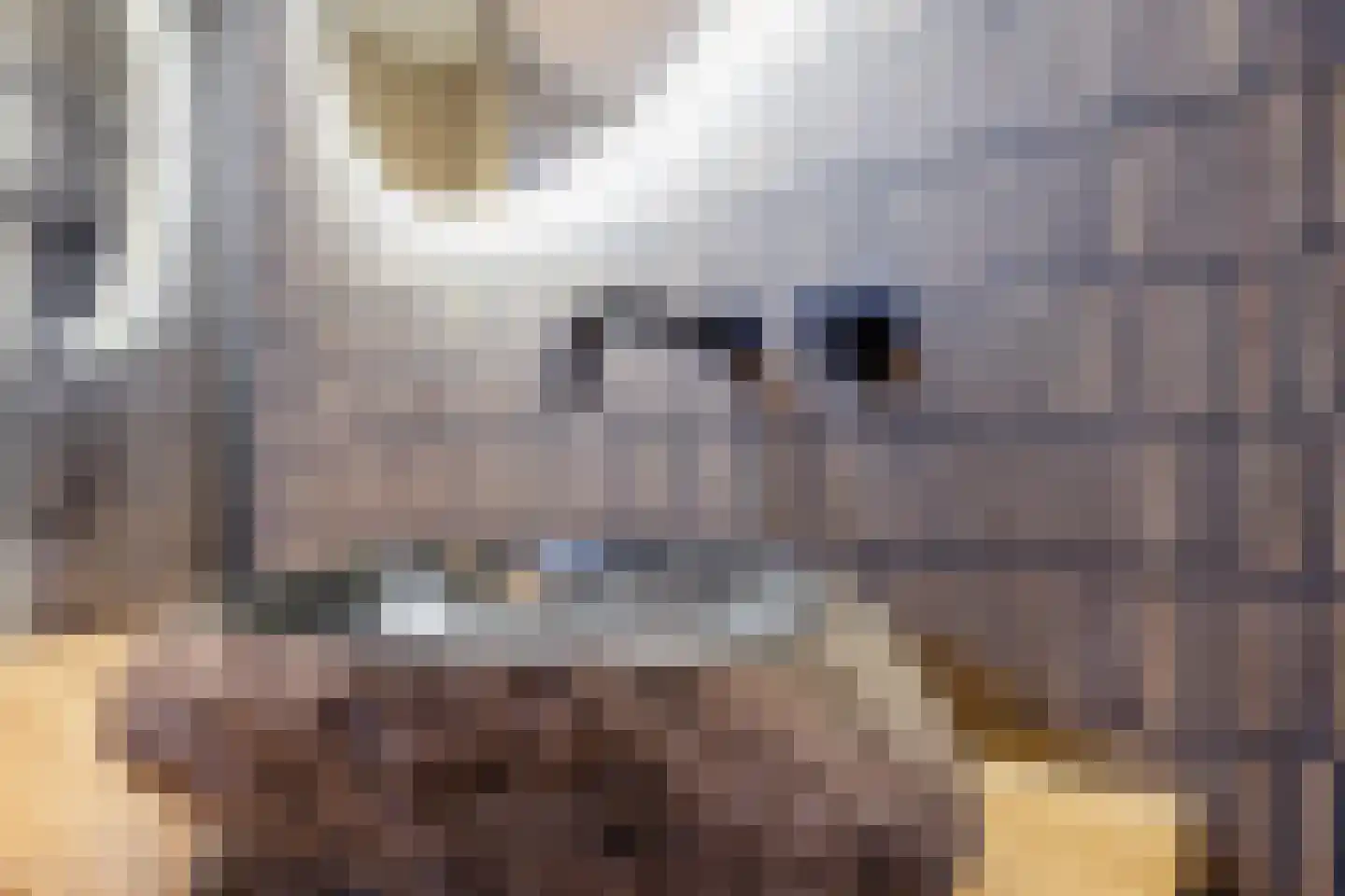 Wolfsbossingel 48 Beuningen Gld thumbnail 40
