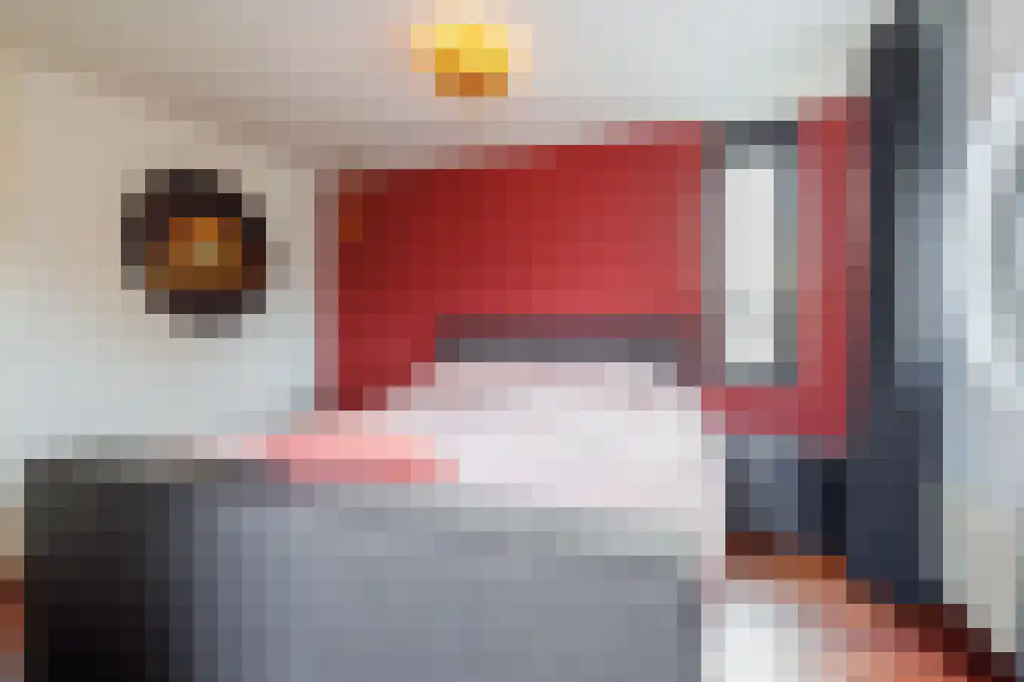 Wolfsbossingel 48 Beuningen Gld thumbnail 43