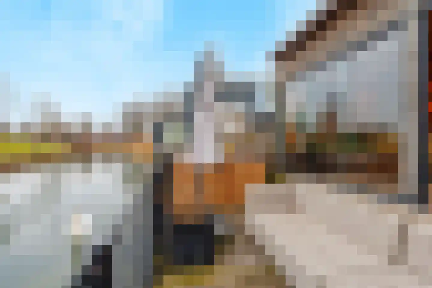 Wolfsbossingel 48 Beuningen Gld thumbnail 53