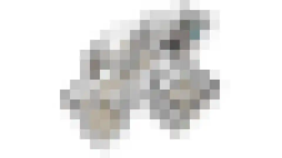 Wolfsbossingel 48 Beuningen Gld thumbnail 78