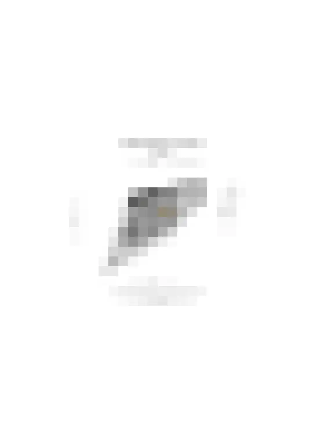 Wolfsbossingel 48 Beuningen Gld thumbnail 88