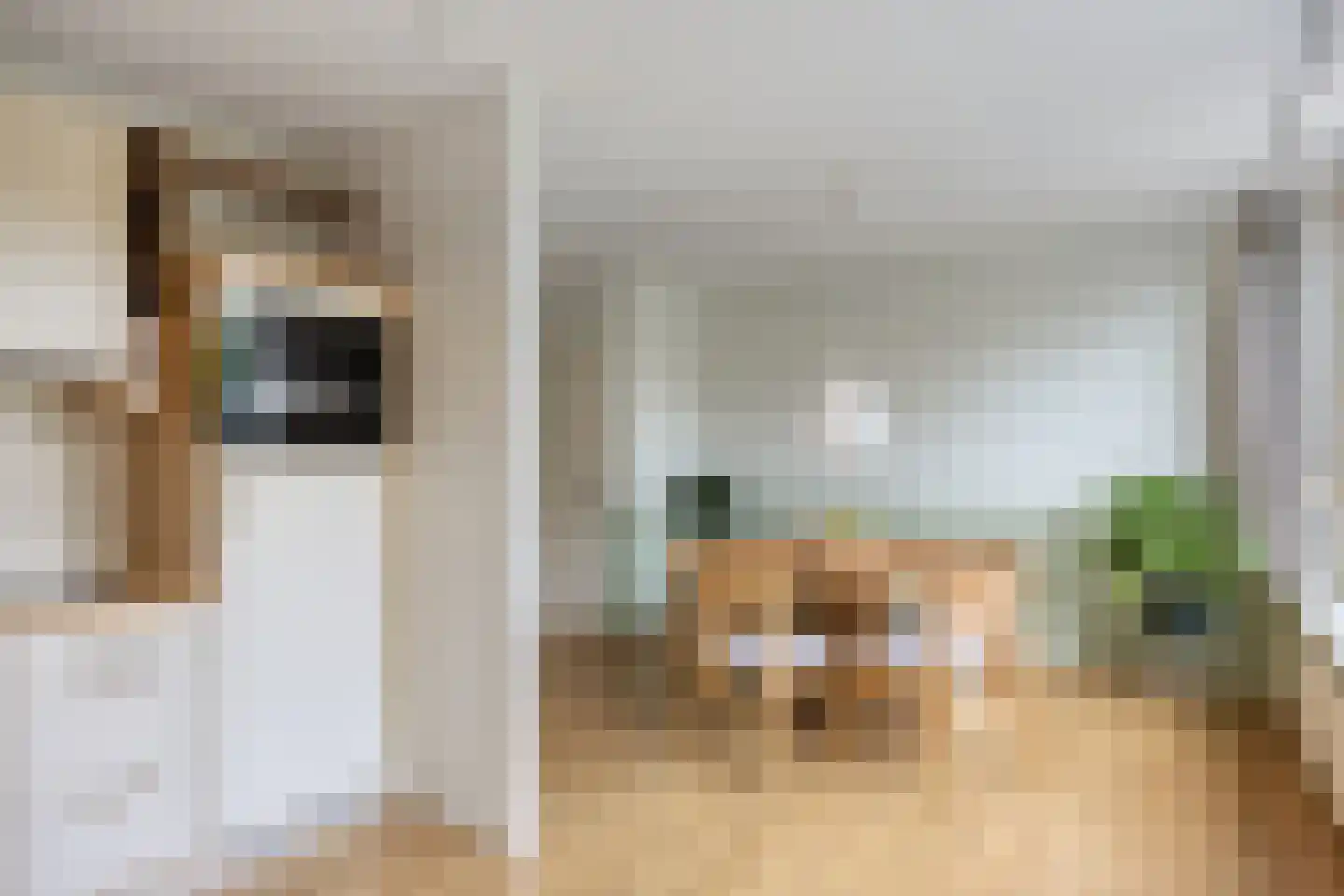 Wolfsculen 15 Mill thumbnail 17