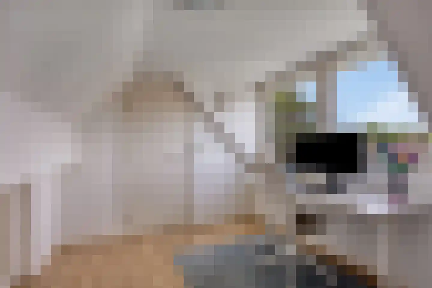 Wolfsculen 15 Mill thumbnail 34