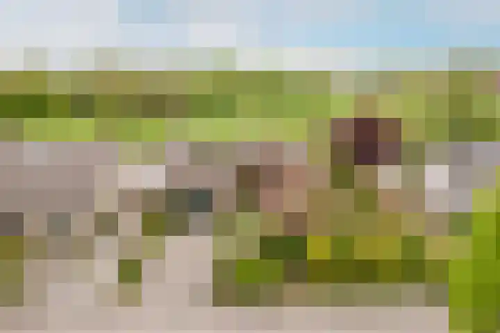 Wolfsdonk 23 in Chaam