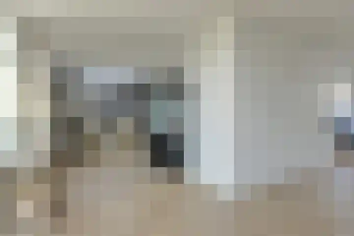 Wolfsdonk 9 Bavel thumbnail 10
