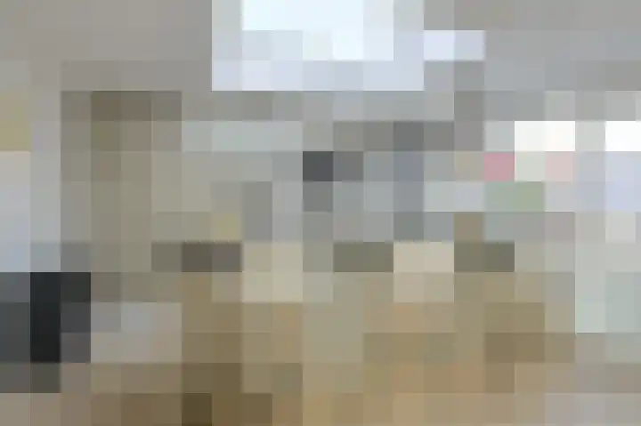 Wolfsdonk 9 Bavel thumbnail 11
