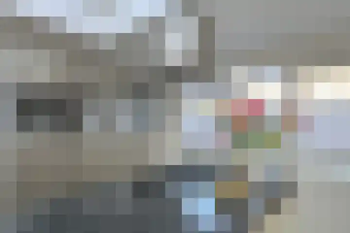 Wolfsdonk 9 Bavel thumbnail 12