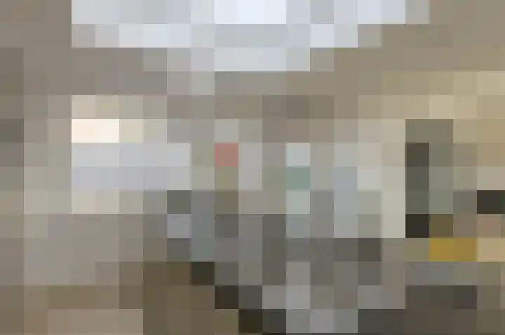 Wolfsdonk 9 Bavel thumbnail 13