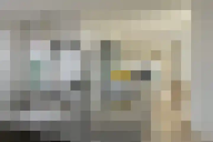 Wolfsdonk 9 Bavel thumbnail 14