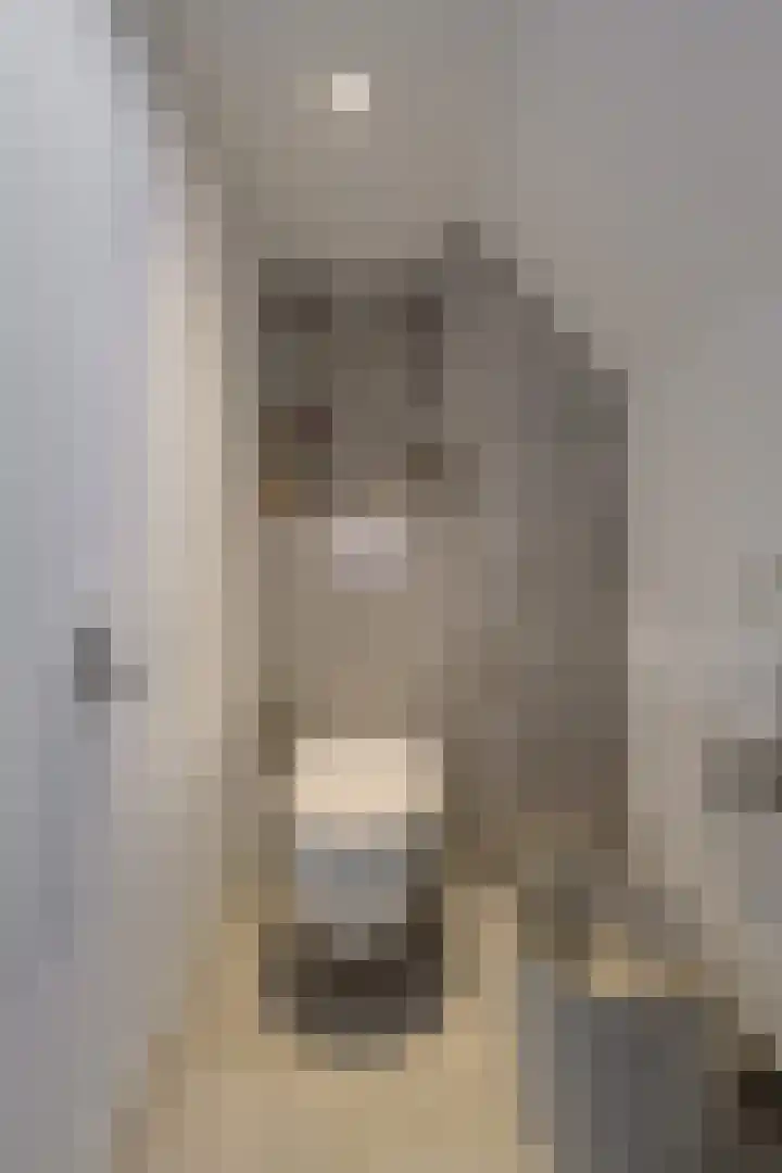 Wolfsdonk 9 Bavel thumbnail 18