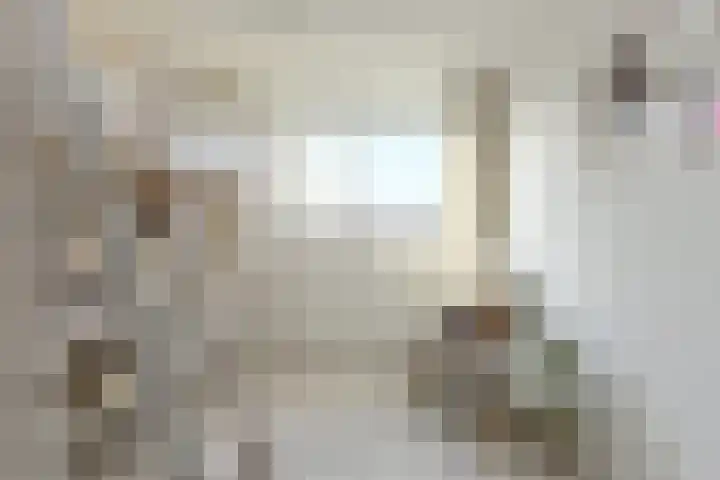 Wolfsdonk 9 Bavel thumbnail 25