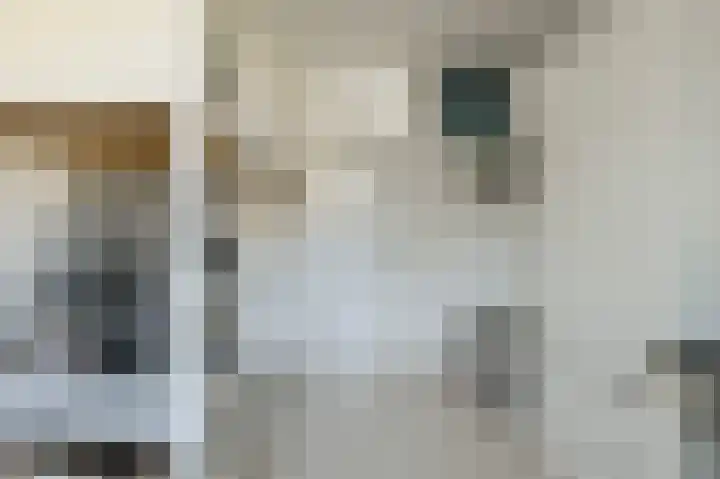 Wolfsdonk 9 Bavel thumbnail 30