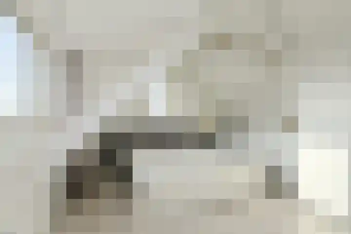 Wolfsdonk 9 Bavel thumbnail 34