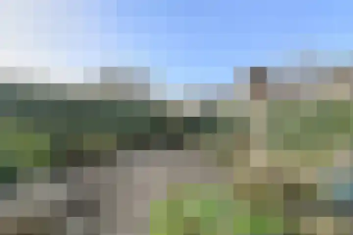 Wolfsdonk 9 Bavel thumbnail 38