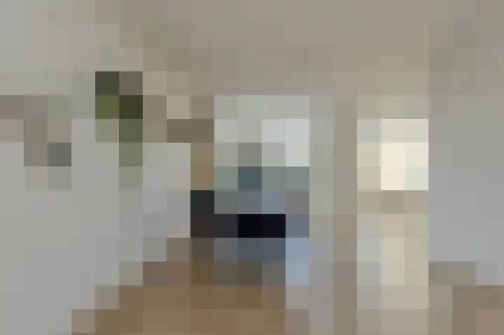 Wolfsdonk 9 Bavel thumbnail 8