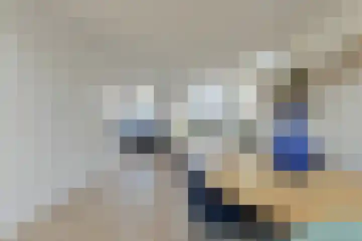 Wolfsdonk 9 Bavel thumbnail 9