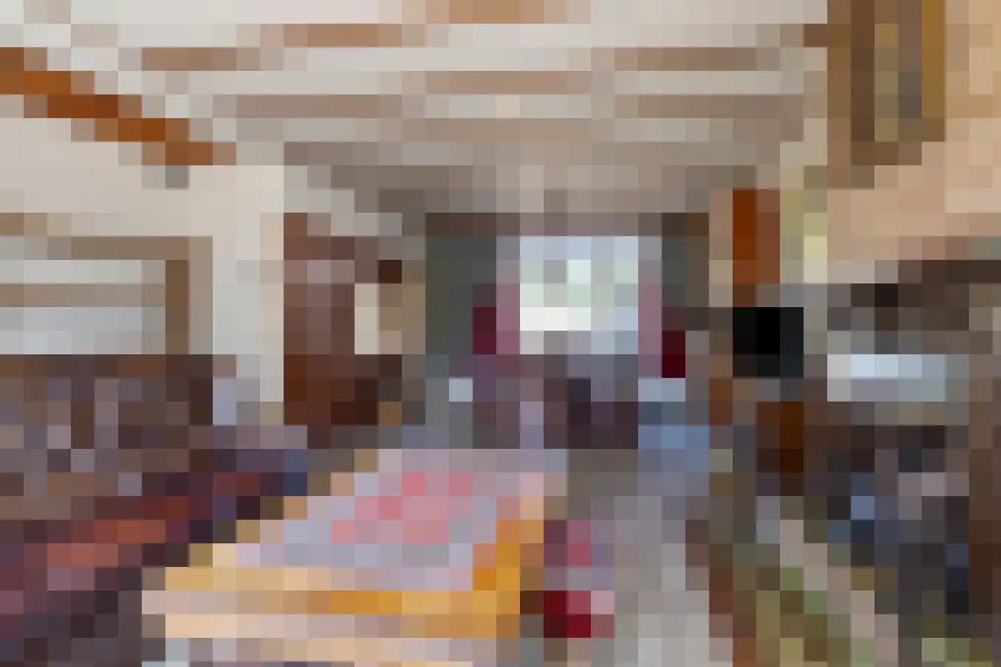 Wolfsdonk 9 Chaam thumbnail 12
