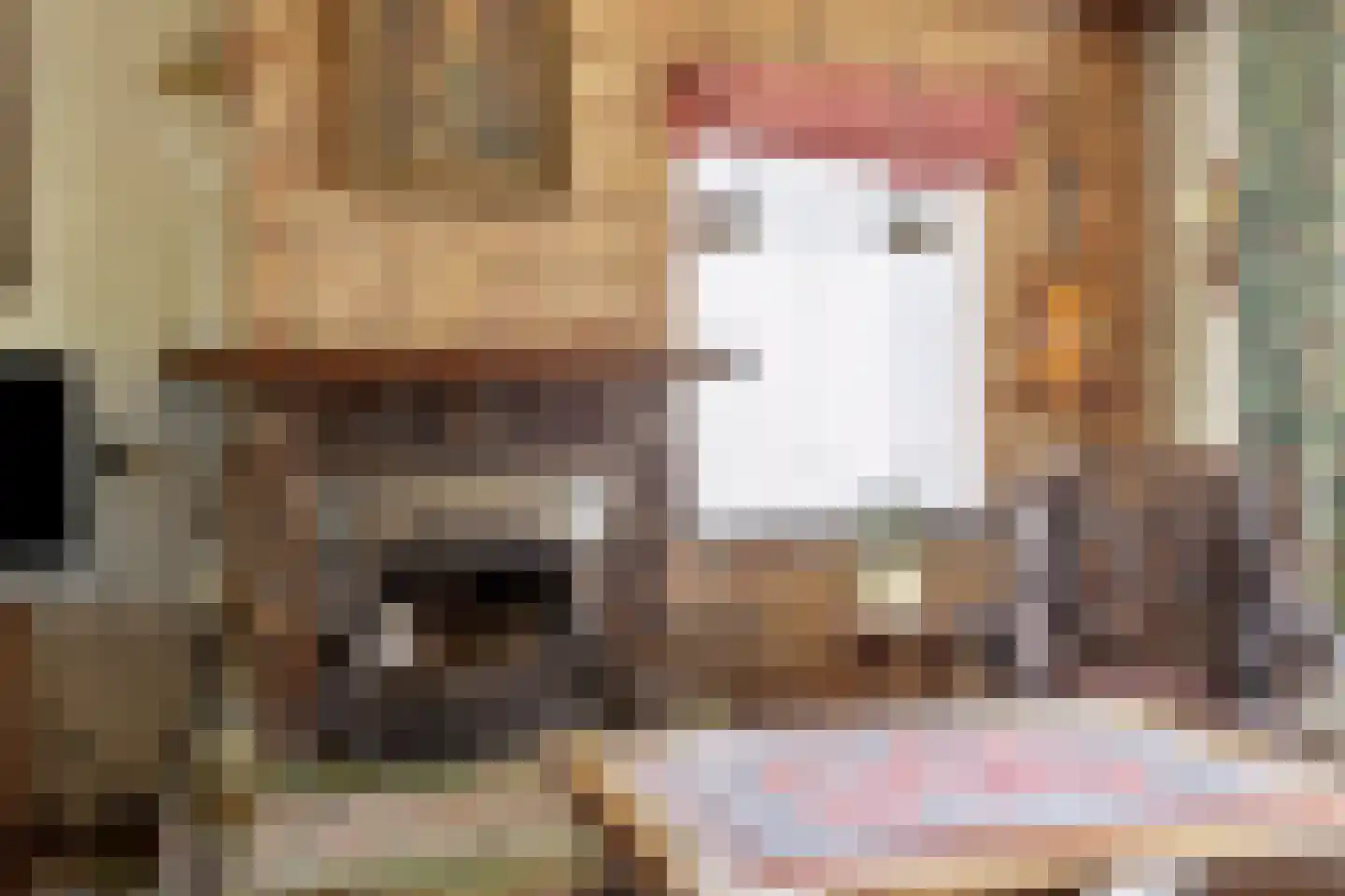 Wolfsdonk 9 Chaam thumbnail 14