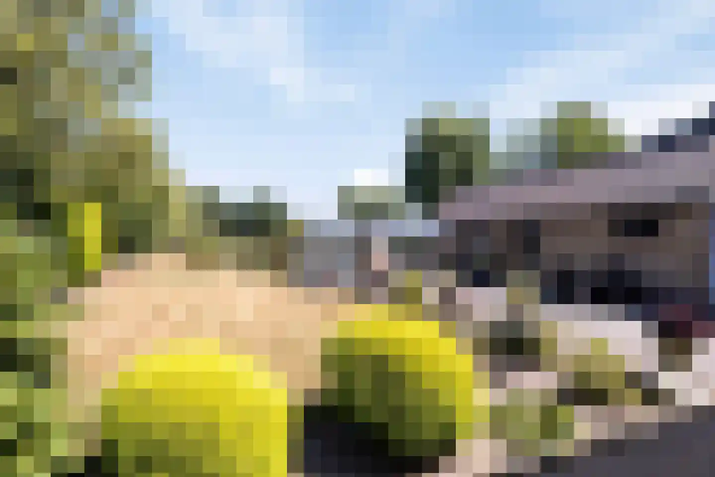 Wolfsdonk 9 Chaam thumbnail 33