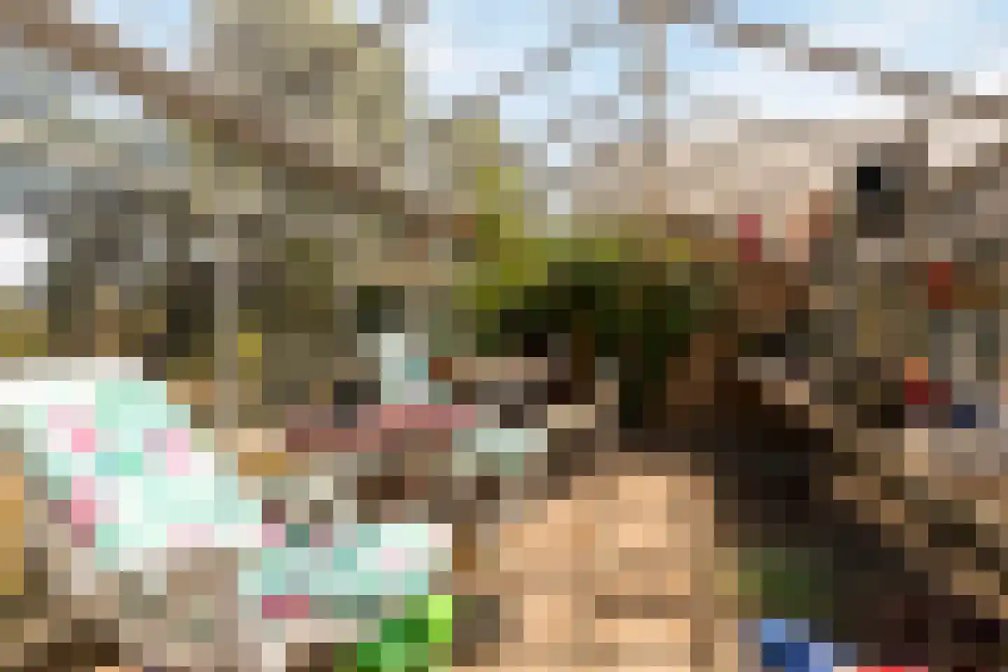 Wolfsdonk 9 Chaam thumbnail 35