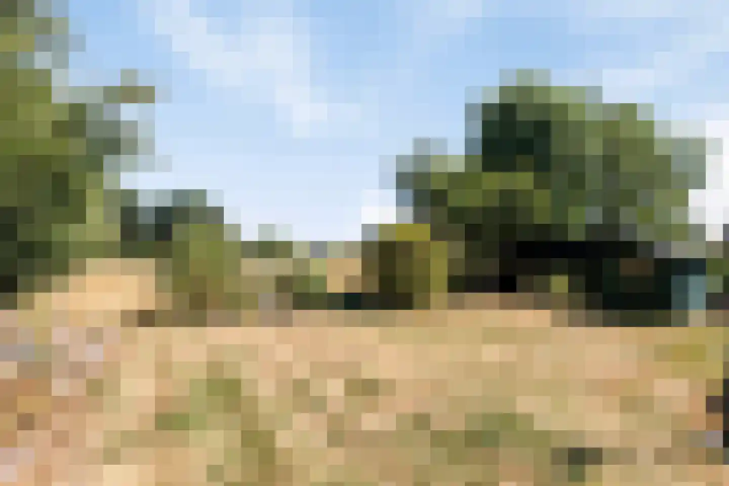 Wolfsdonk 9 Chaam thumbnail 36