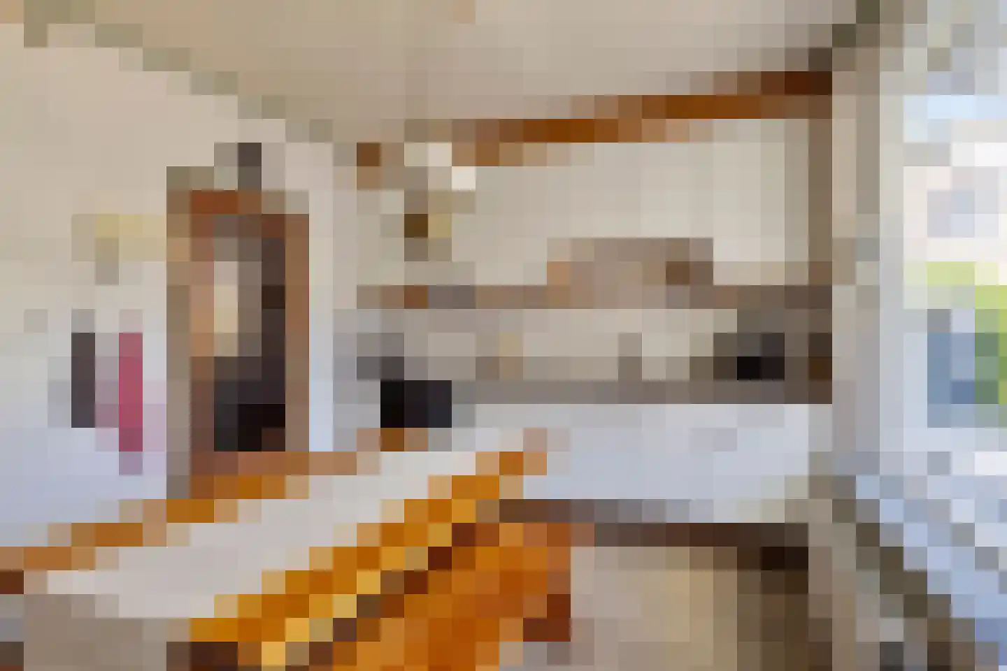 Wolfsdonk 9 Chaam thumbnail 4