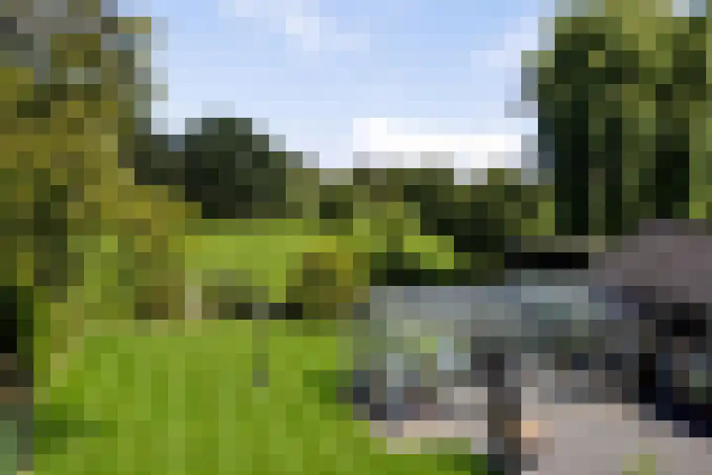 Wolfsdonk 9 Chaam thumbnail 44