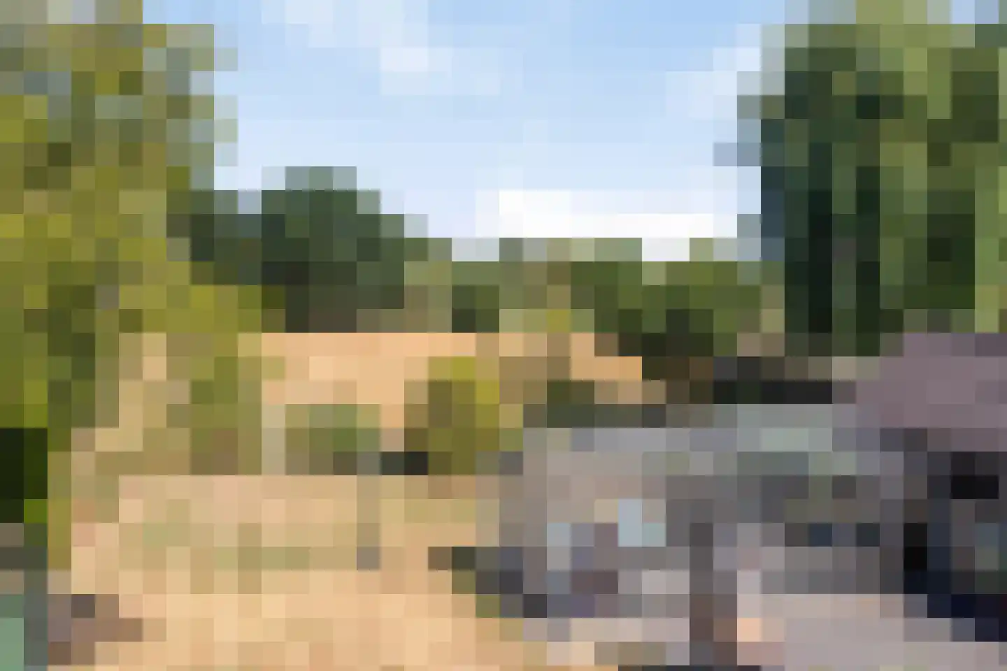Wolfsdonk 9 Chaam thumbnail 45