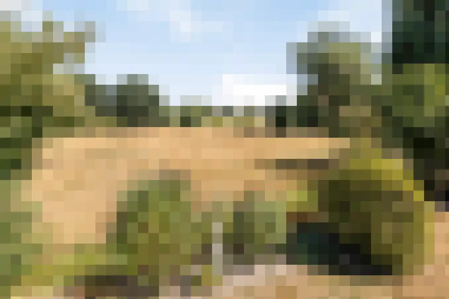Wolfsdonk 9 Chaam thumbnail 46