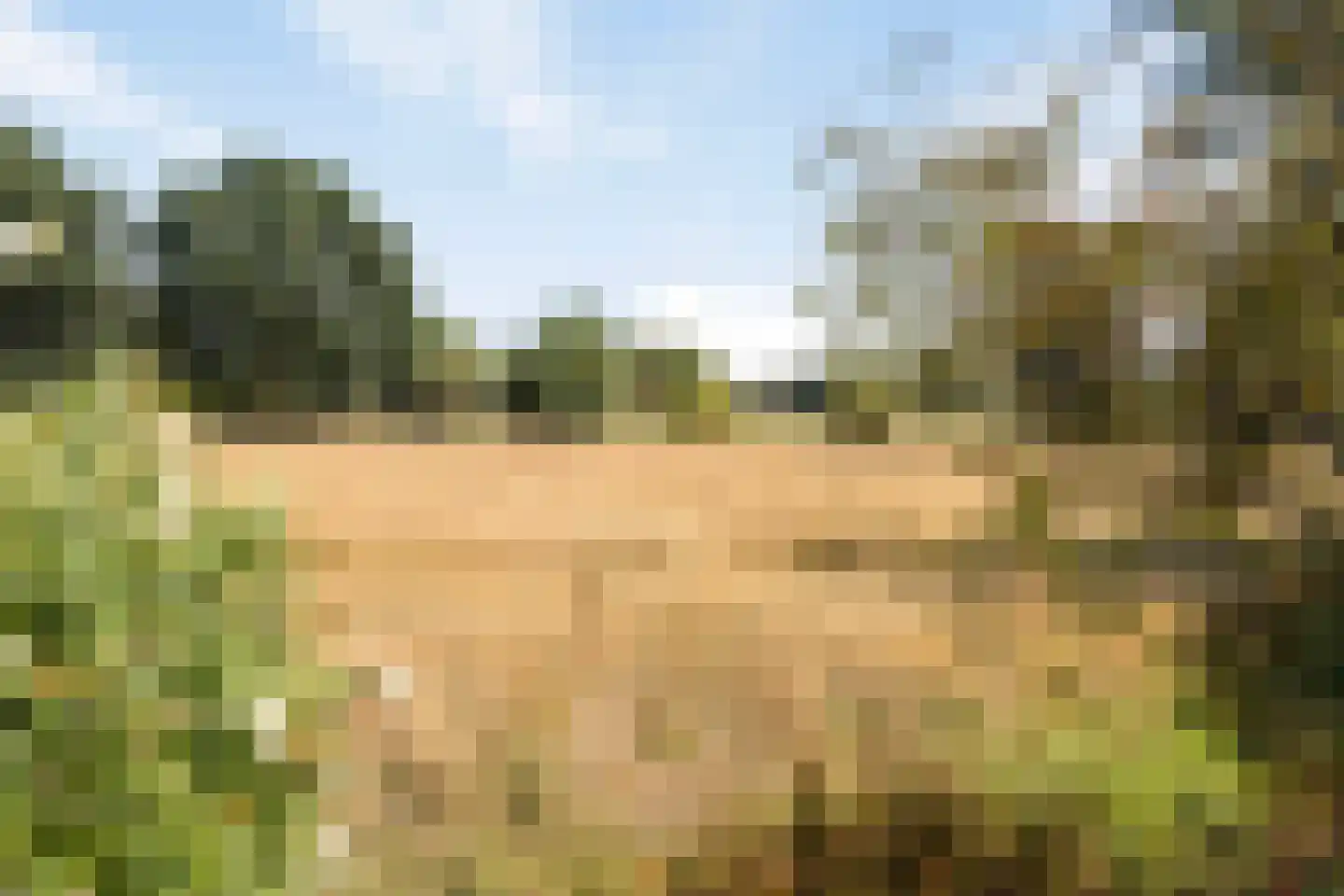 Wolfsdonk 9 Chaam thumbnail 47