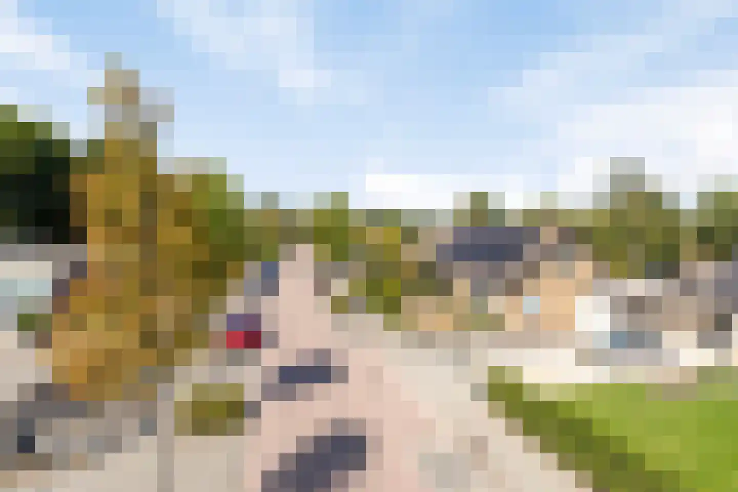 Wolfsdonk 9 Chaam thumbnail 51
