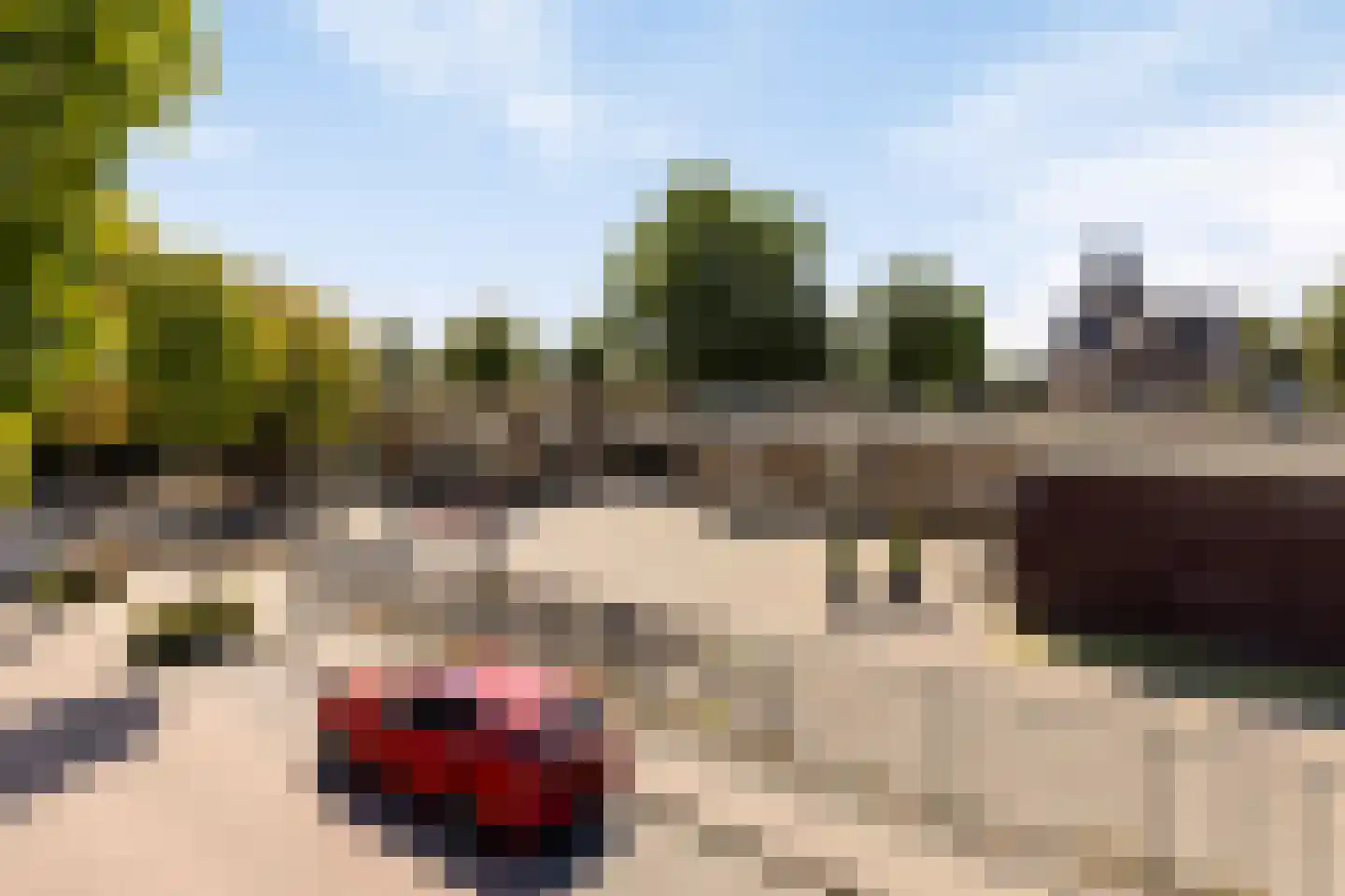 Wolfsdonk 9 Chaam thumbnail 52