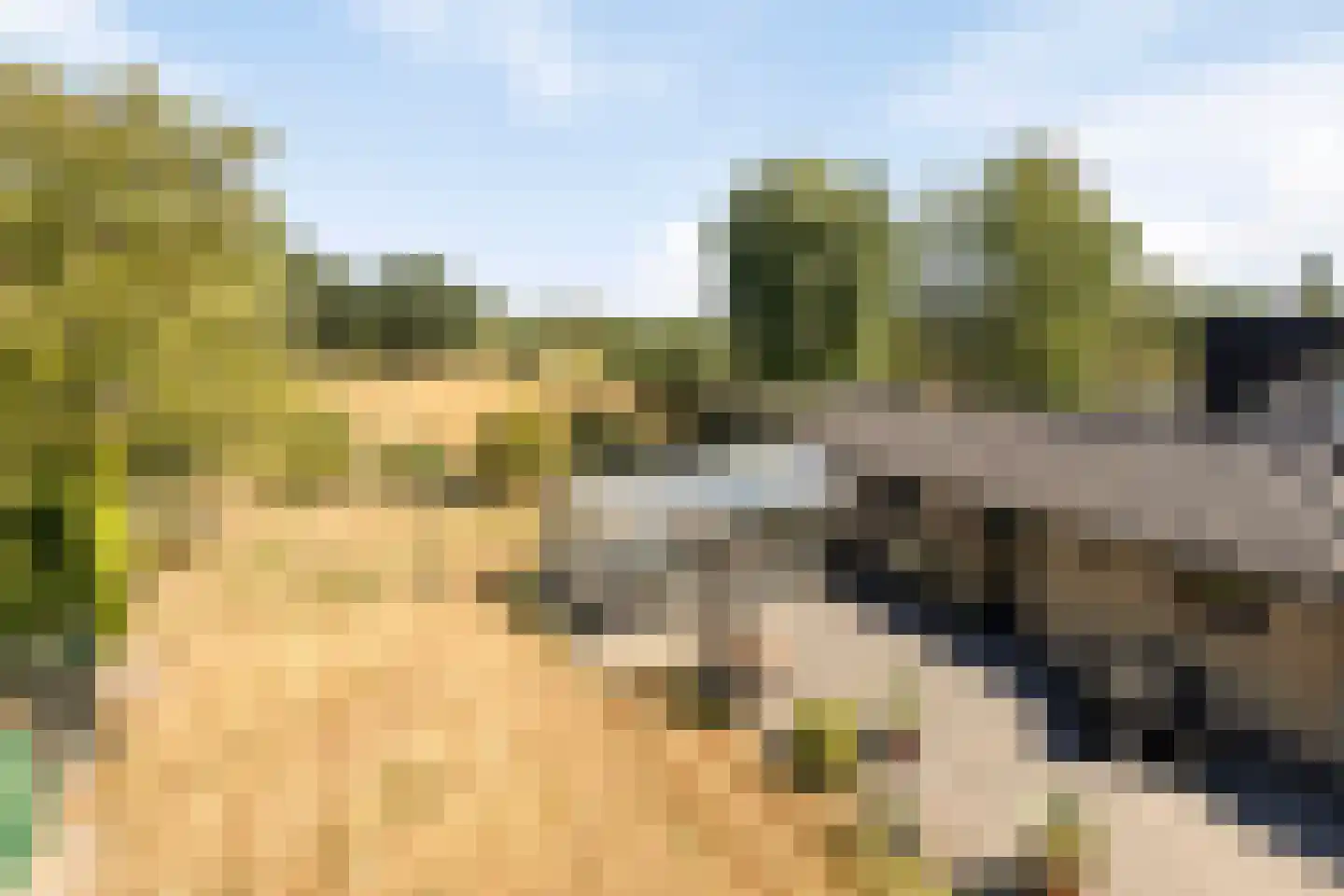 Wolfsdonk 9 Chaam thumbnail 7