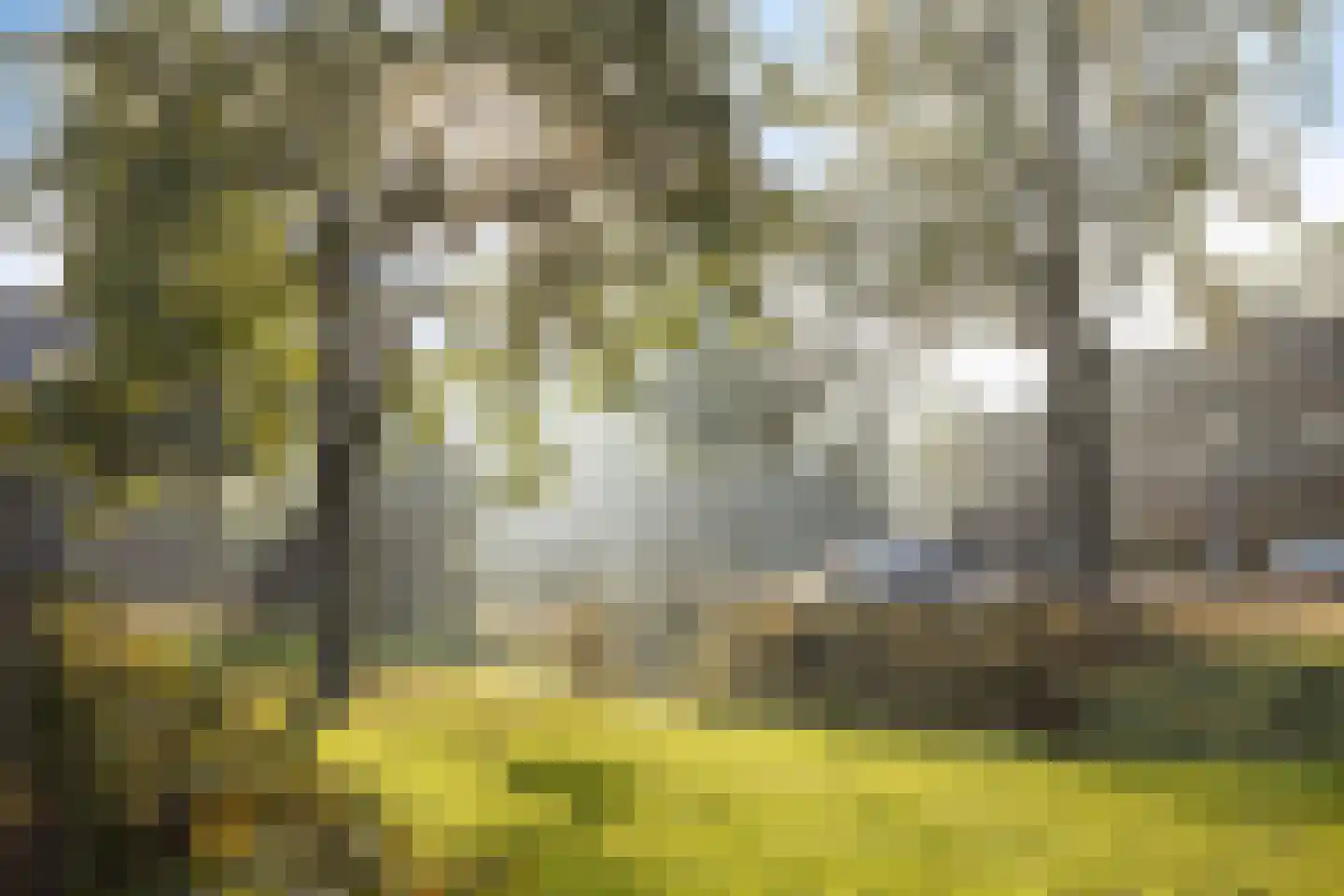 Wolfsenwaard 53 Westervoort thumbnail 43