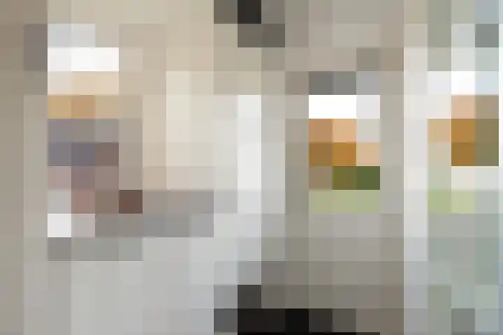 Wolfsesteeg 3 Nijkerkerveen thumbnail 15