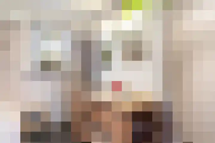 Wolfsesteeg 3 Nijkerkerveen thumbnail 17