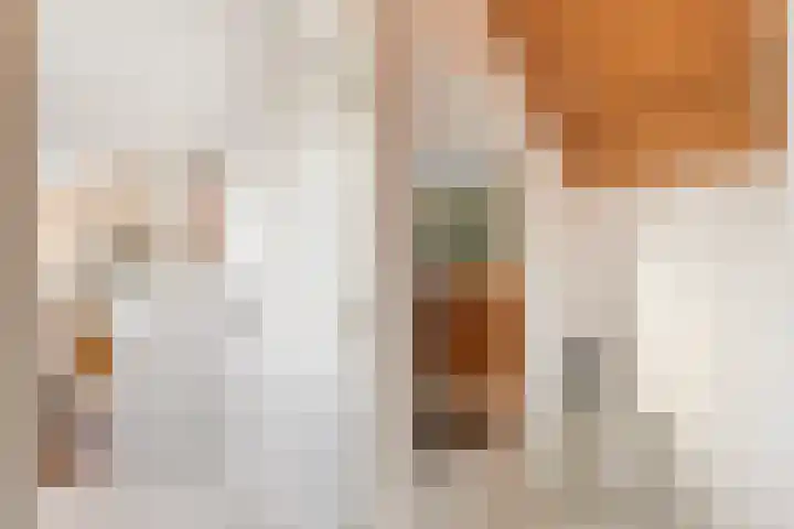 Wolfsesteeg 3 Nijkerkerveen thumbnail 20