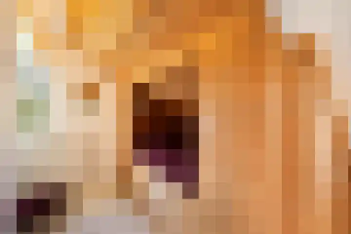 Wolfsesteeg 3 Nijkerkerveen thumbnail 24