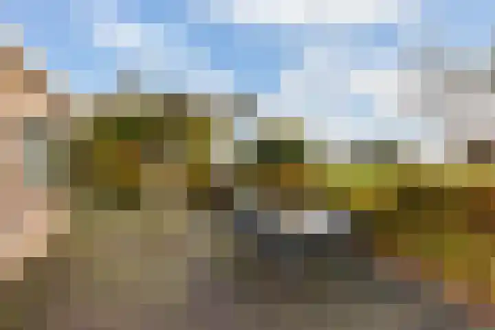 Wolfsesteeg 3 Nijkerkerveen thumbnail 31