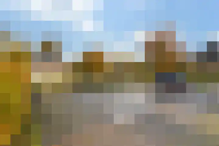 Wolfsesteeg 3 Nijkerkerveen thumbnail 32