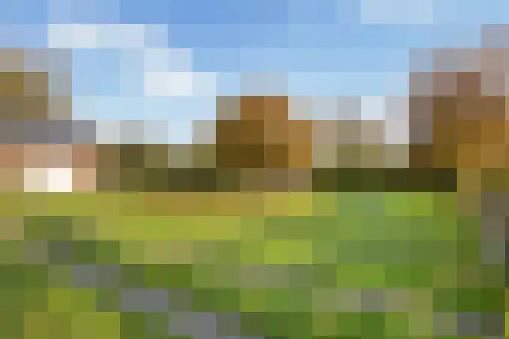 Wolfsesteeg 3 Nijkerkerveen thumbnail 34