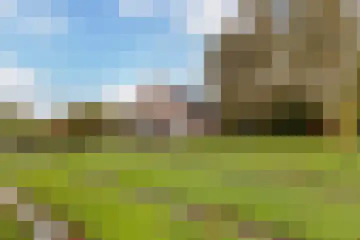 Wolfsesteeg 3 Nijkerkerveen thumbnail 35