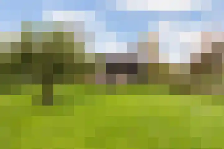 Wolfsesteeg 3 Nijkerkerveen thumbnail 36