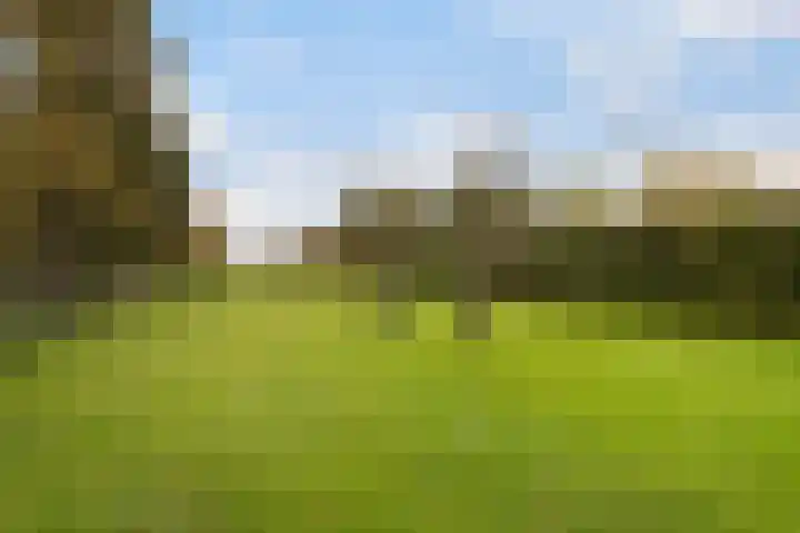 Wolfsesteeg 3 Nijkerkerveen thumbnail 37