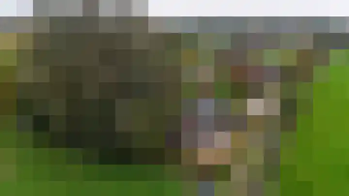 Wolfsesteeg 3 Nijkerkerveen thumbnail 38