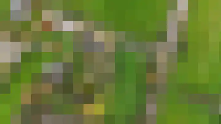 Wolfsesteeg 3 Nijkerkerveen thumbnail 39