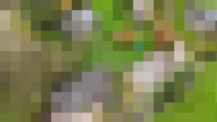 Wolfsesteeg 3 Nijkerkerveen thumbnail 40
