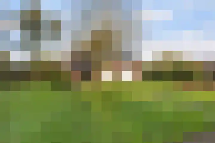 Wolfsesteeg 3 Nijkerkerveen thumbnail 5