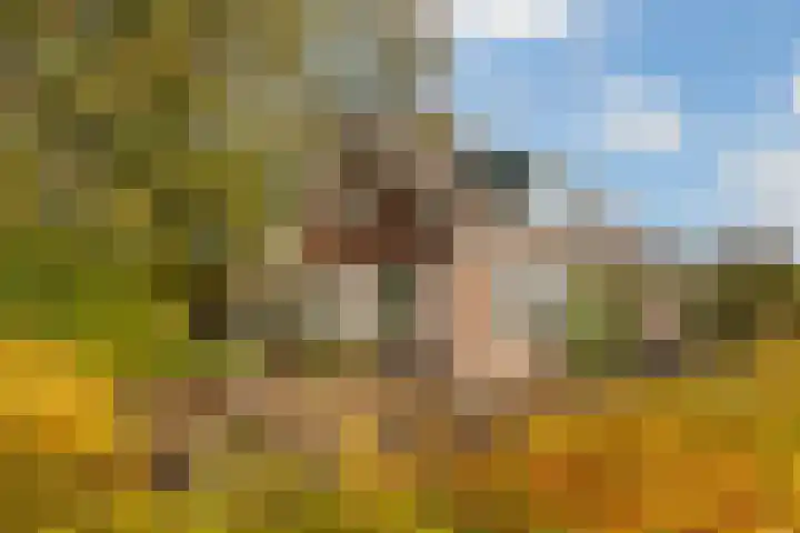Wolfsesteeg 3 Nijkerkerveen thumbnail 6